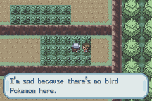 This bird keeper is in the wrong place if he wants to find bird pokemon. There's only Kangaskhans and Absols and such here.