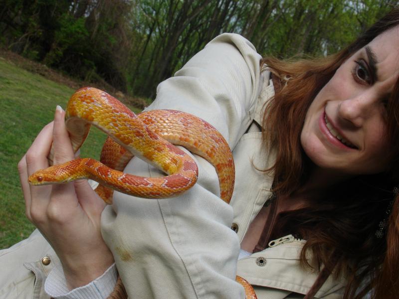 This is me and my pet snake Nessy. She's my mini lockness monster. She's a beautiful corn snake that I rescued from PetSmart lol. This is my intense f