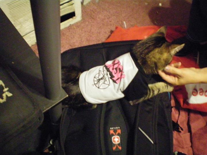 This is probably a reason I shouldn't have pets.