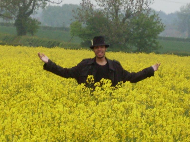 This is what I do on my days off: stand up to my chest in rape and act like I have no idea what's going on.

The flowers are called rape, BTW, and the