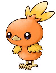Torchic 1