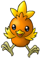 torchic