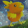 torchic5