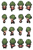 trainer 1