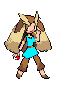 Trainer ginka