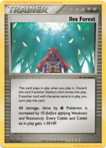 TRAINER   ilex forest
