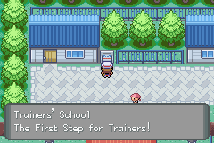 Trainer's School