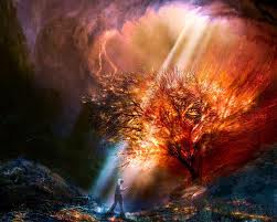 Tree of Fire