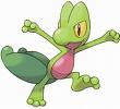 treecko