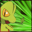 treecko