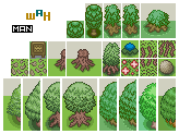 Trees5