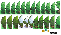 Trees7