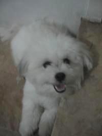 truff!