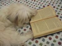 truffles read!