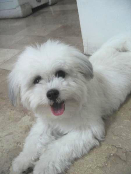 truffy!!