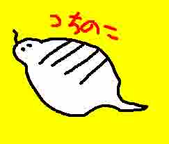 tsuchinoko2