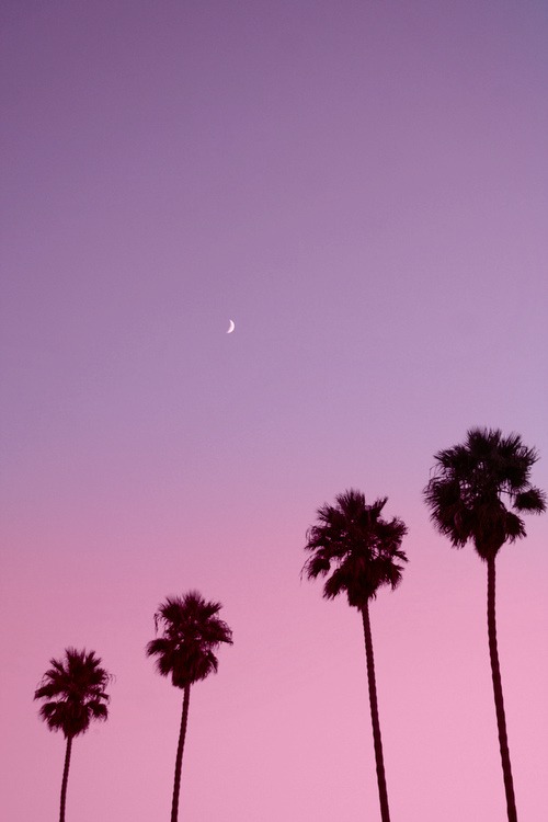 tumblr mk4z443MKG1s9q3dyo1 500