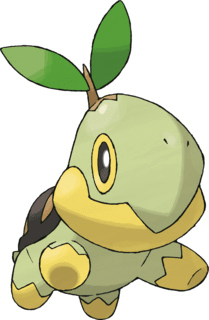 Turtwig :3