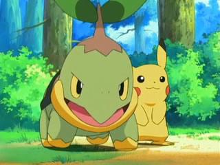 Turtwig