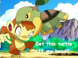 TurtwigBitingChimchar