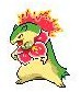 typhlosian and meganium