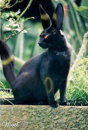 Umbreon