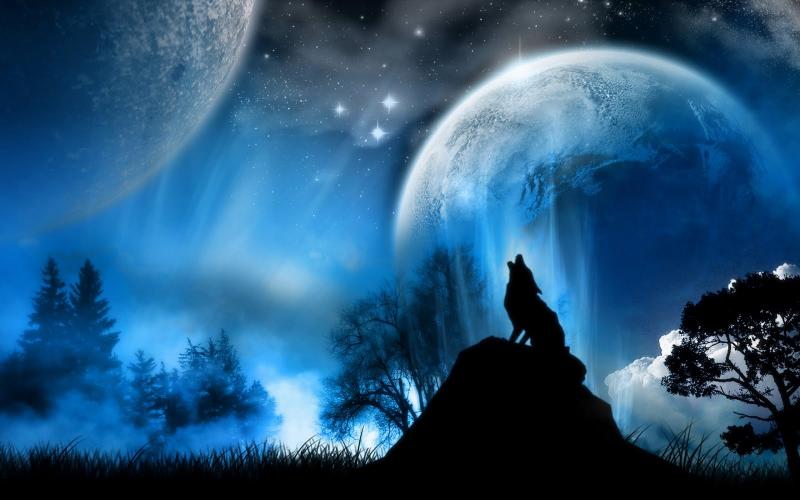 UNIVERSE TO THE LONE WOLF