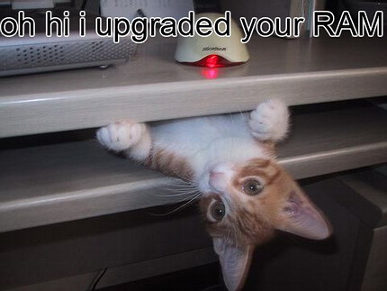 upgraded your ram