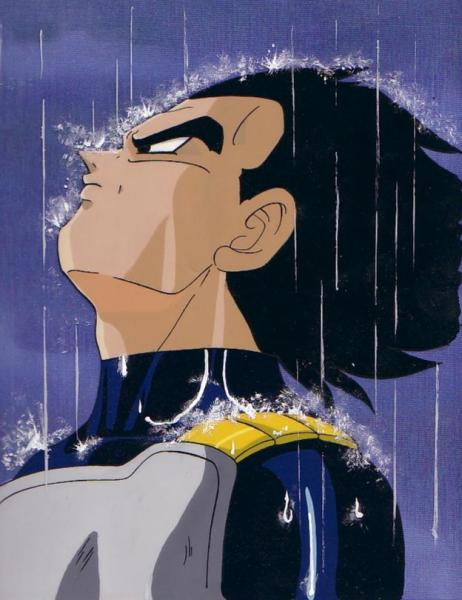 Vegeta of DragonballZ, one of the greatest male anime characters. Dude is awesome