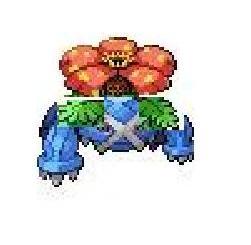 Venagross