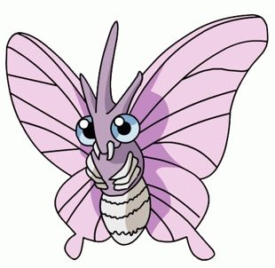 Venomoth