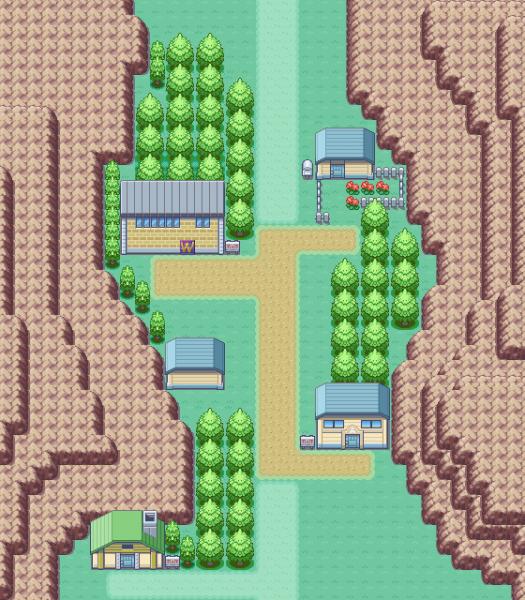 Village
