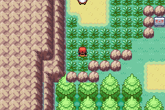 Viridian's New Grass