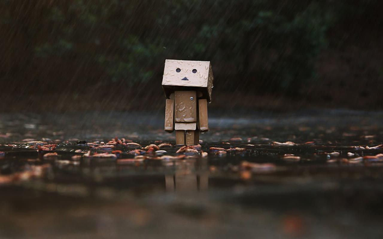 wallpaper 683282