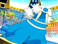 -Walrein-