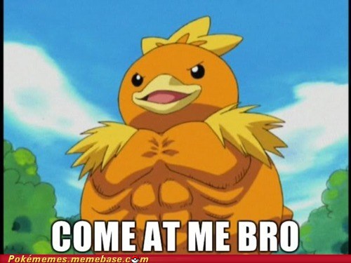 Watch out! We have a torchic over here!