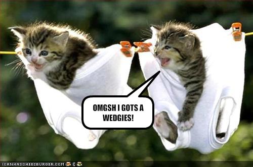 WEDGIEZ!