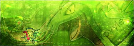 WHAT DO YA KNOW!? Another Grovyle banner! O______o