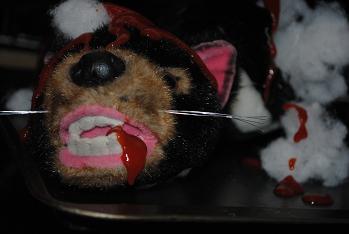 When a toy breaks, all that is left is to experiment. No, this is not a real Tasmanian Devil.
