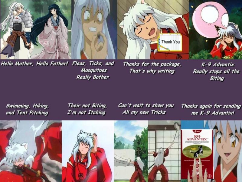 When Inuyasha sells out