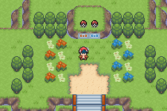 white platinum on GBA (note: ruby hack)