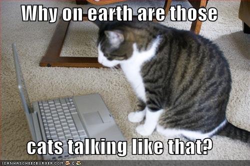 Why on earth are those cats talking like that?