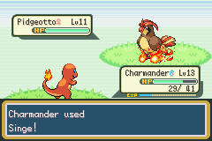 Wild Pidgeotto
