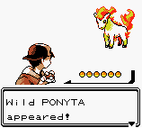 Wild PONYTA appeared!