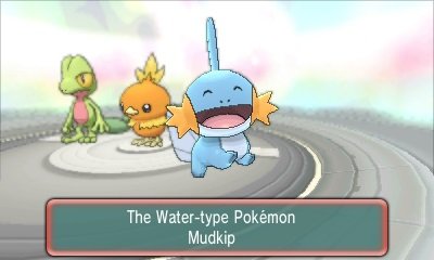 will you pick mudkip