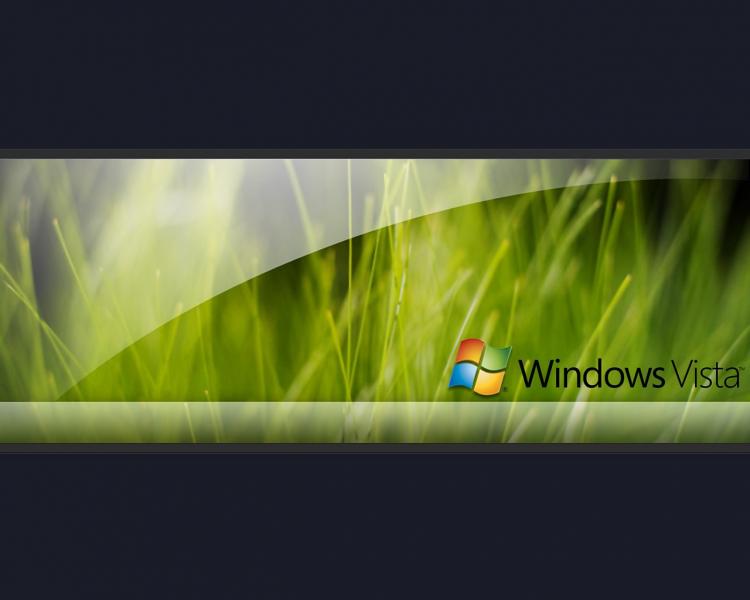windows vista wallpaper[1]