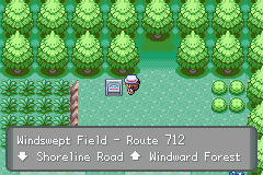 Windswept Field