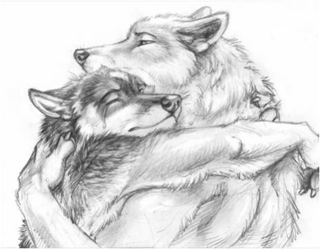 Wolf lurve (Artist unknown)