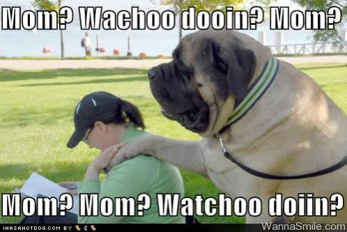woof