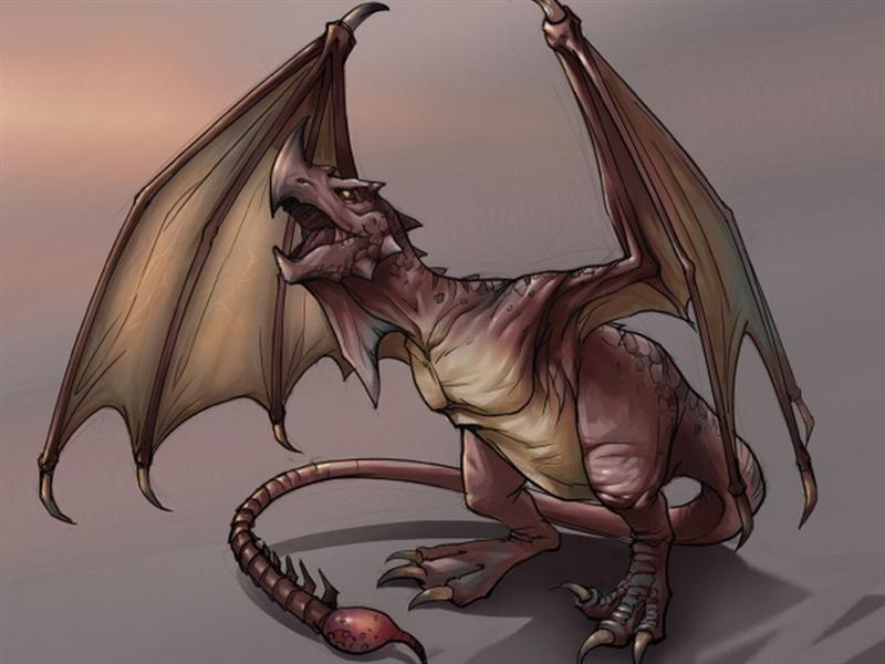 Wyvern